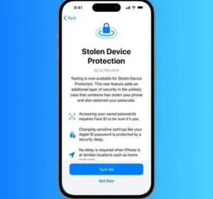 桃江苹果授权维修店分享被盗设备保护功能开启方法 