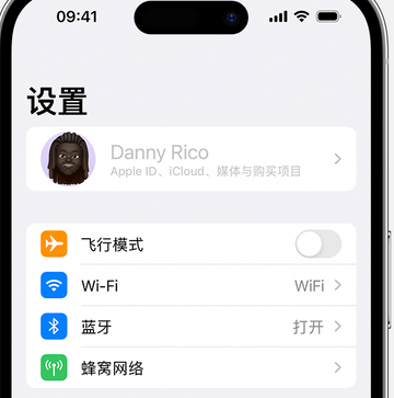 桃江appleID维修服务iPhone设置中Apple ID显示为灰色无法使用 