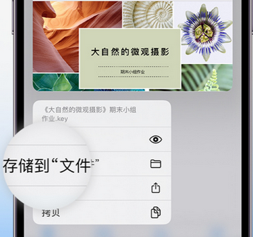 桃江apple维修中心分享iPhone文件应用中存储和找到下载文件