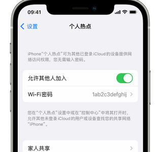 桃江apple服务站点分享iPhone上个人热点丢失了怎么办 