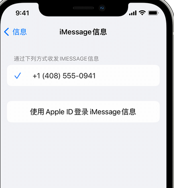 桃江apple维修iPhone上无法正常发送iMessage信息 