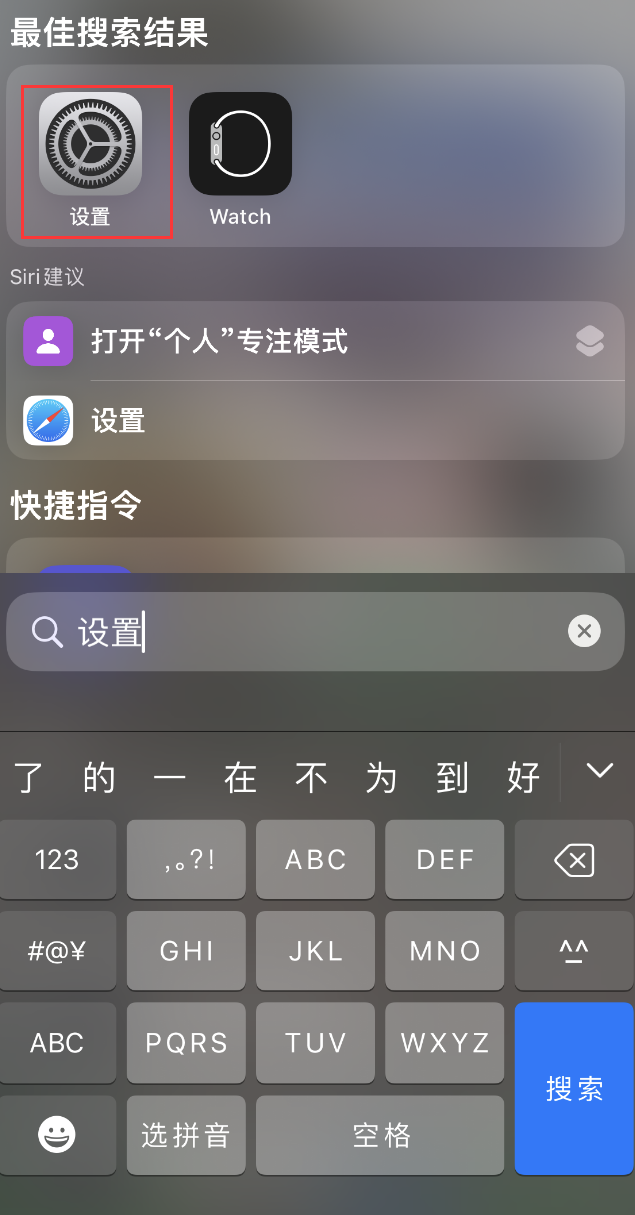 桃江苹果手机维修分享：iPhone 找不到“设置”或“App Store”怎么办？ 