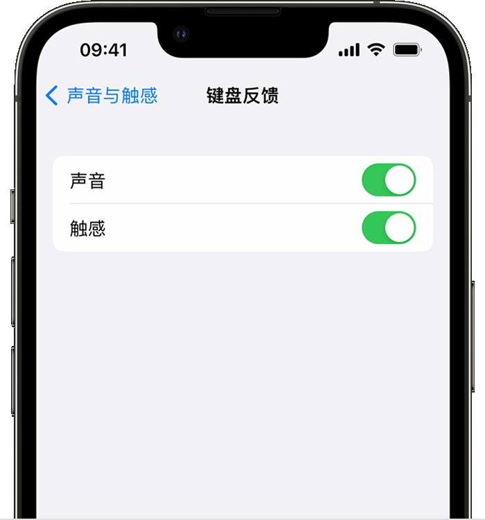 桃江苹果14维修店分享如何在 iPhone 14 机型中使用触感键盘 