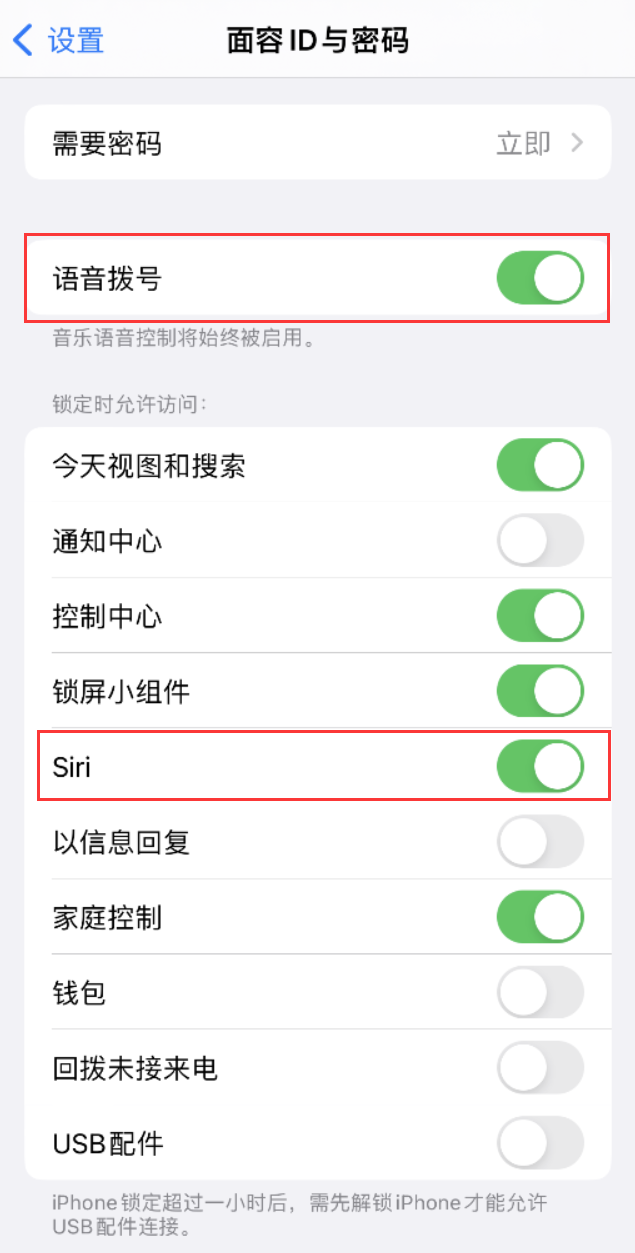 桃江苹果维修网点分享不解锁 iPhone 的情况下通过 Siri 拨打电话的方法 