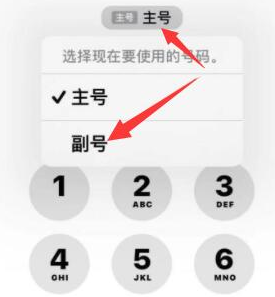 桃江苹果14维修店分享iPhone 14 Pro Max使用副卡打电话的方法 