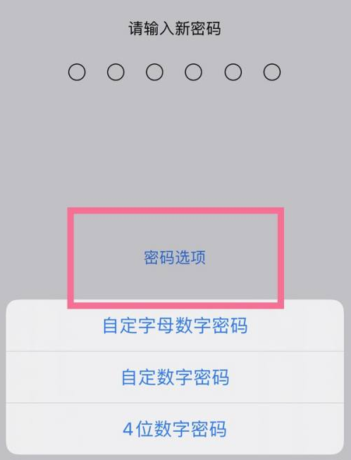 桃江苹果14维修分享iPhone 14plus设置密码的方法 