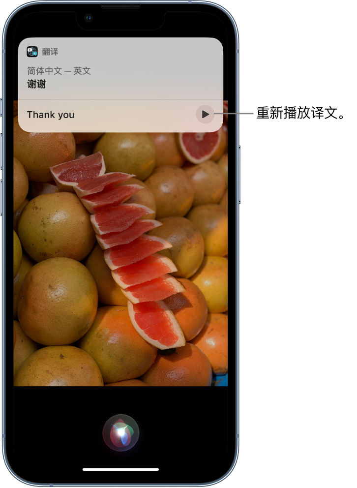 桃江苹果14维修分享 iPhone 14 机型中使用 Siri：了解 Siri 能帮你做什么 