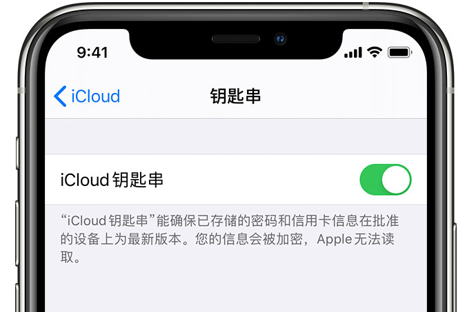 桃江苹果手机维修分享在 iPhone 上开启 iCloud 钥匙串之后会储存哪些信息 