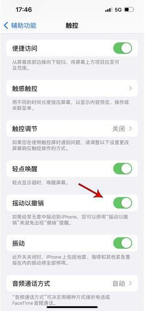 桃江苹果手机维修分享iPhone手机如何设置摇一摇删除文字 